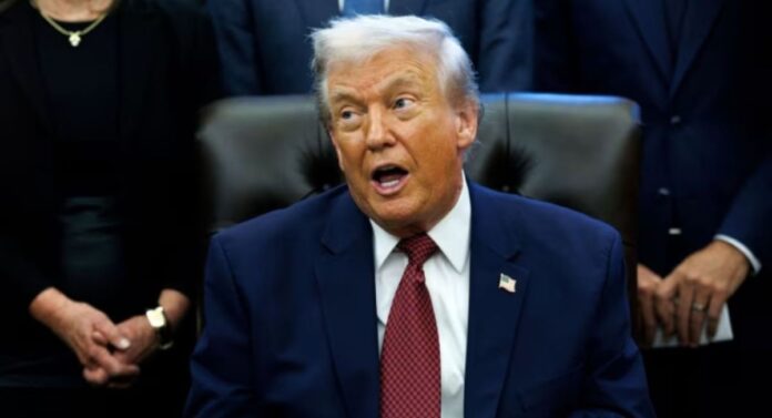 Donald trump (15)